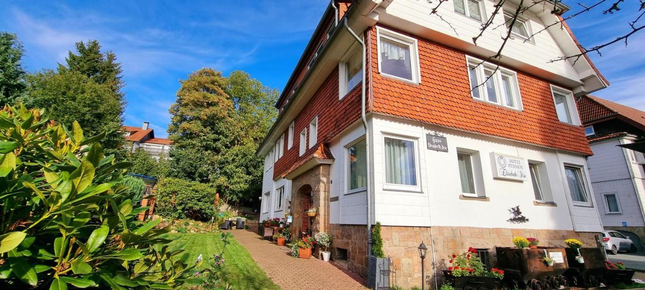 Hotel Elisabeth Ilse Braunlage Eksteriør billede