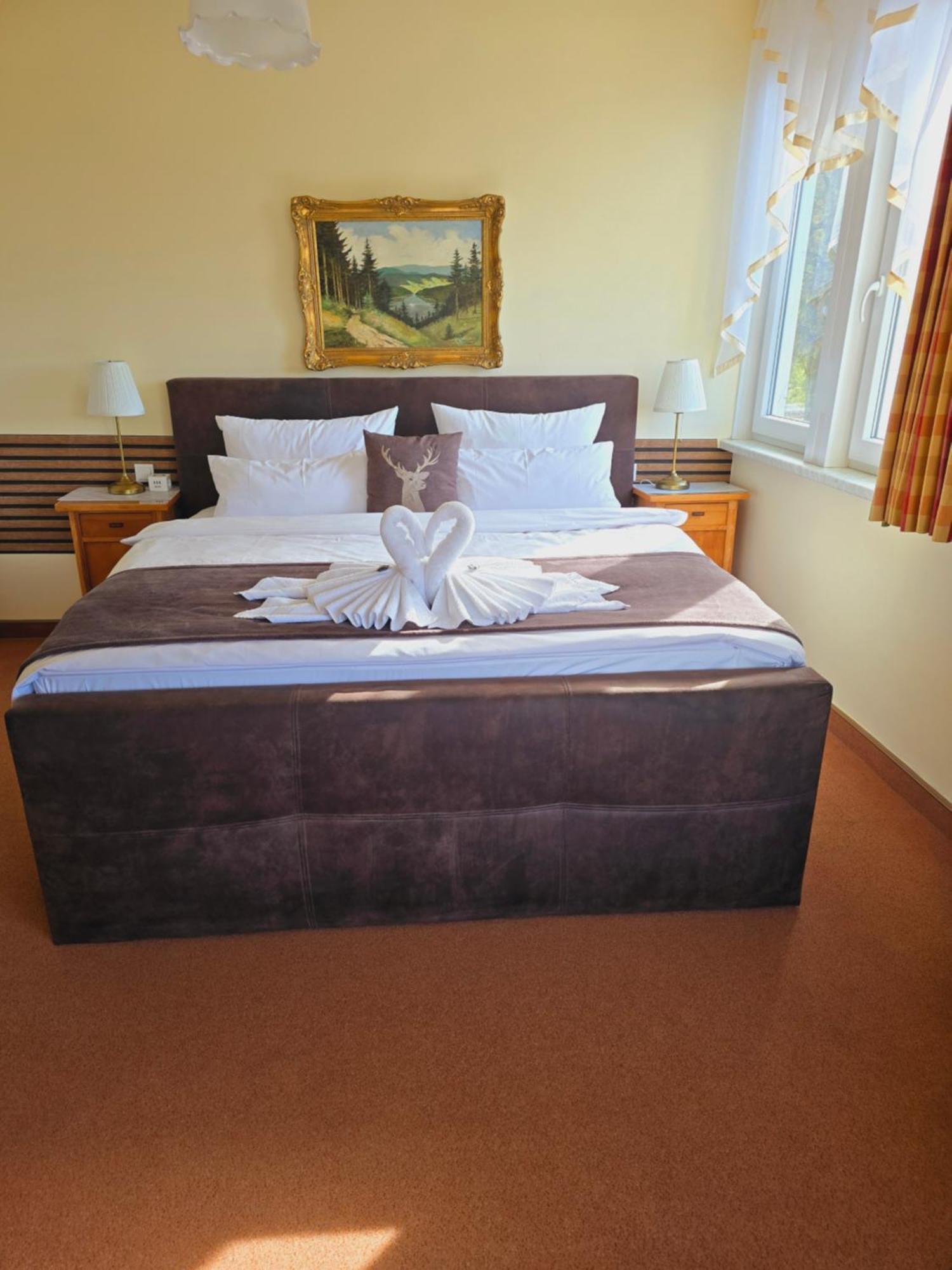 Hotel Elisabeth Ilse Braunlage Eksteriør billede